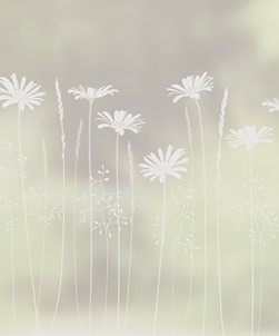 Daisy Meadows Edge