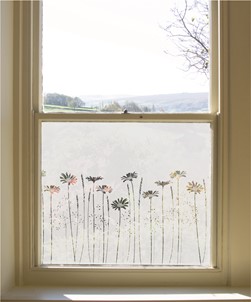 Daisy Meadows Edge