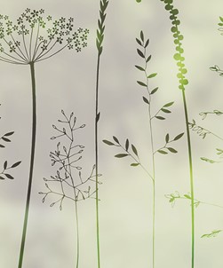 In The Tall Grass