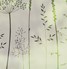 In The Tall Grass