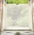 Paper Meadow
