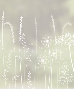 Paper Meadows Edge