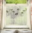 Tall Daisies