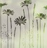 Tall Daisies
