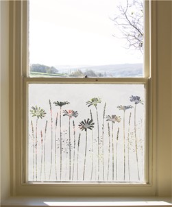 Tall Daisies