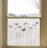 Tall Daisies
