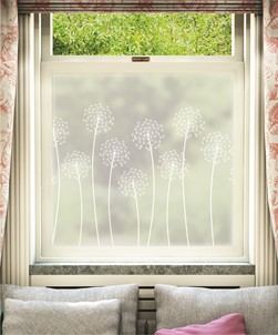 Allium