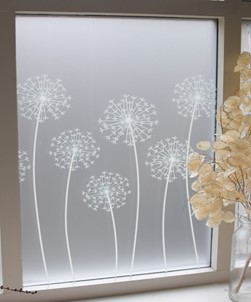 Allium