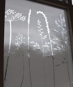 In The Tall Grass