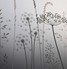 Paper Meadows Edge
