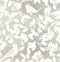 Birdsong
