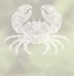 Granchio Window Film Crab Design