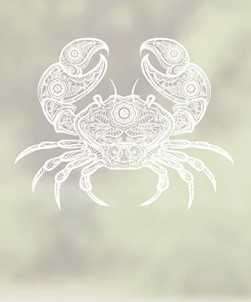 Granchio Window Film Crab Design
