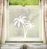 Palm Trees
