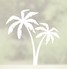 Palm Trees