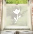 Flowering Tulip 