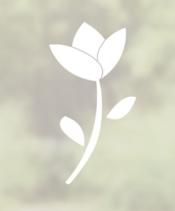 Flowering Tulip 