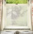 Patterned Window Film - Fiori
