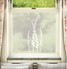 Patterned Window Film - Planta