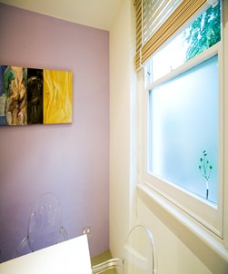 FB119 Frosted Window Film