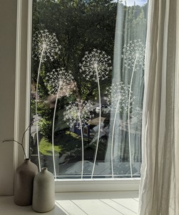 Allium