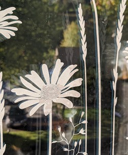 Tall Daisies