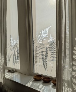 Fern by Hannah Nunn
