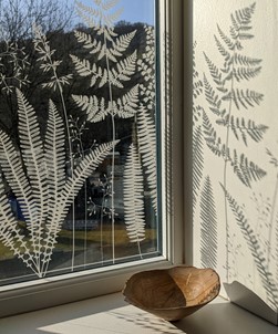 Fern by Hannah Nunn