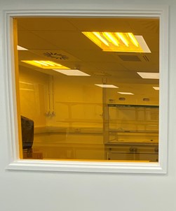 Amber 81 UV Protection - Full Roll
