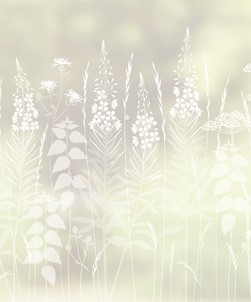Wild Edge by Hannah Nunn