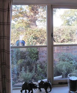 Contra Vision One Way Privacy | Full Roll | 1370 mm x 30m