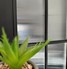 Evoke® Thin Reeded Window Film