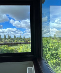 Climate 35 High Window Film