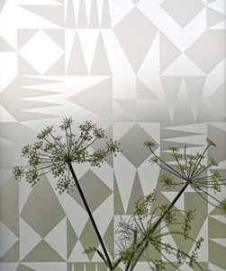 Triangulate